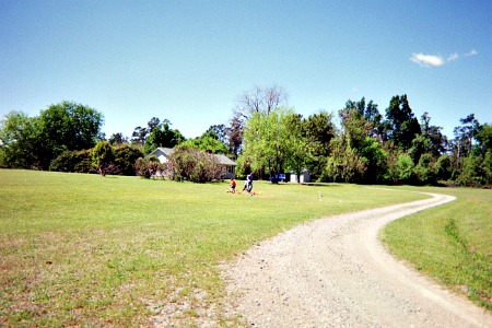 Apps creation image of a path leading to a house.