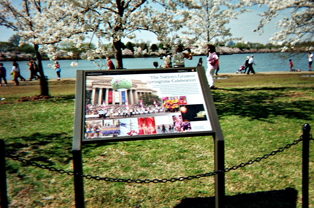 Information plaque for the National Cherry Blossom Festival in Washington, DC.