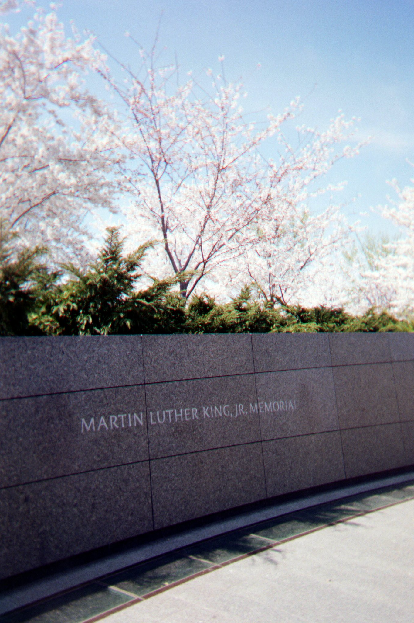 Dr. Martin Luther King memorial located on the tidal basin in Washington, D.C.