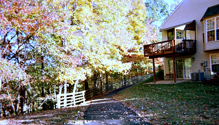 Information about pyrite mine sign. Autumn leaves on a tree.
