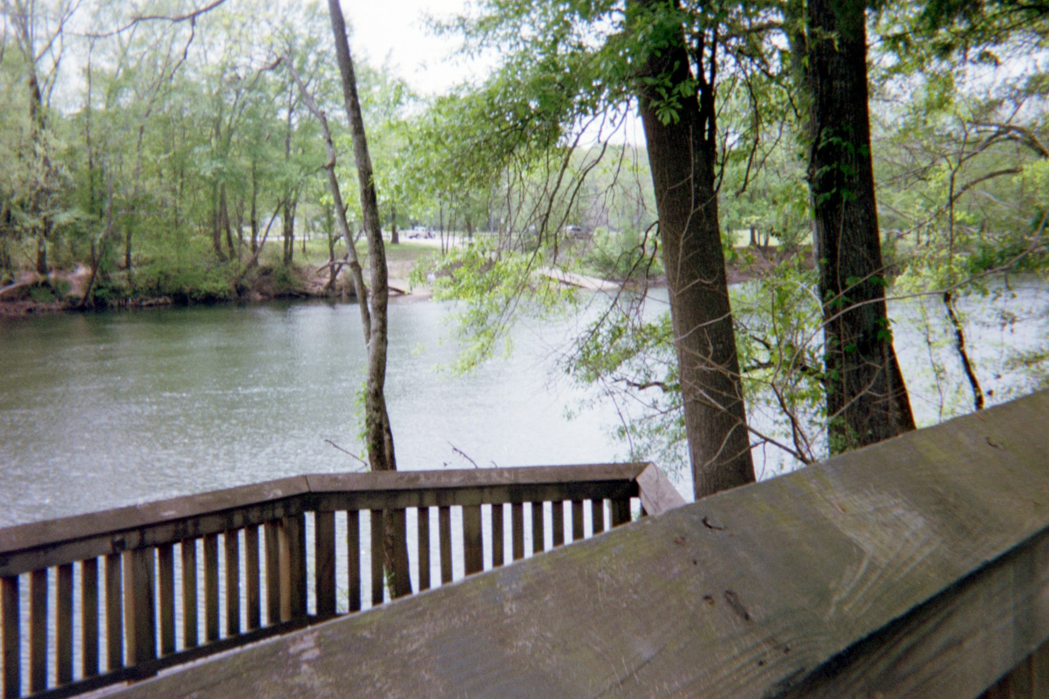 Bridge besides some trees overlooking the water.