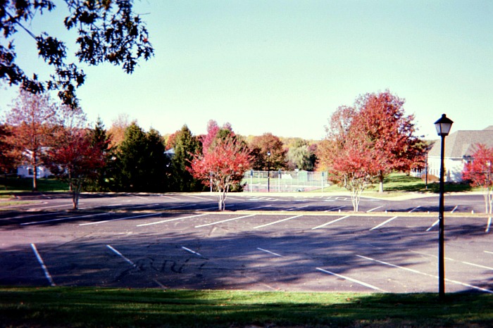 Parking lot and autumn trees.