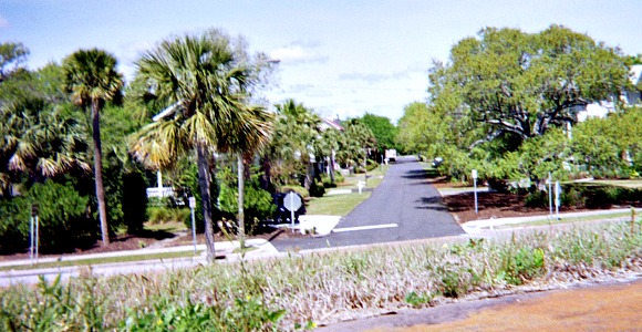 Street scene with trees.