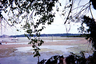 pda and smartphone repair for mobile phone water damages