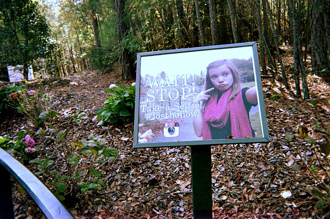 Mobile phone selfie in a garden. Mobile phone selfie in a garden.