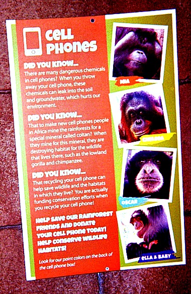 Gorillas and Cell Phones